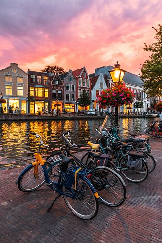 Leiden - Cycling on the Silent Rhine with sunset (0041)