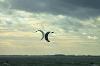 Studie: De Kaloot, Borssele - Zeeland