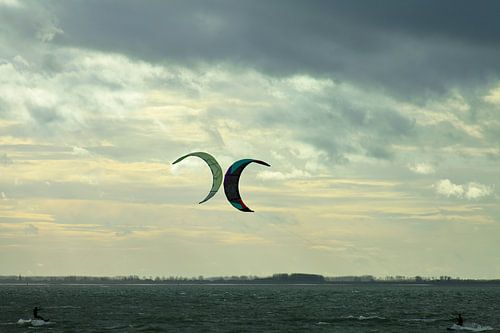 Studie: De Kaloot, Borssele - Zeeland