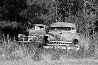 Rusty Cars by Willem van Holten thumbnail