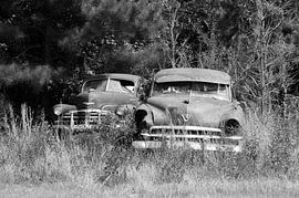 Rusty Cars by Willem van Holten