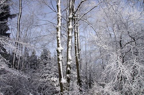 Winterlandschap en blauwe lucht