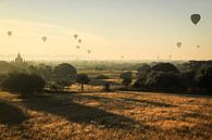 Matins magiques à Bagan (Myanmar) par Jesper Boot Aperçu