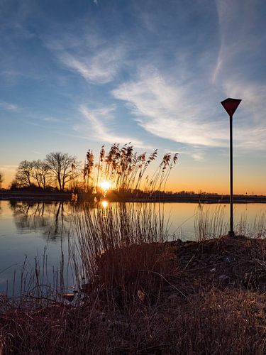 Achter het riet verdwijnt het...