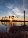 Achter het riet verdwijnt het... par Foto Arend-Jan Aperçu