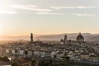 Vue de la vieille ville de Florence par Shanti Hesse Aperçu