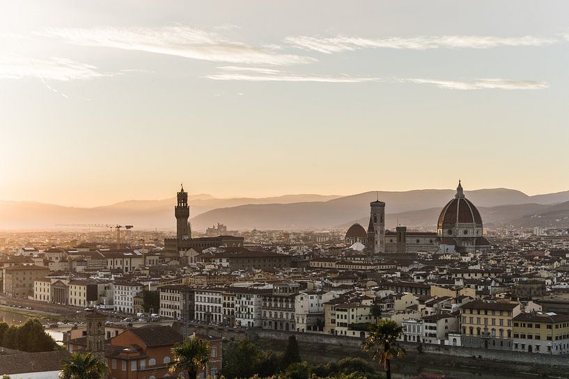 Vue de la vieille ville de Florence par Shanti Hesse