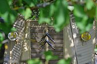Citroën HY a legend lives-7 by Ingo Laue thumbnail