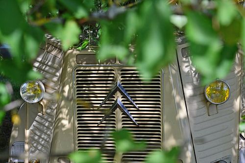 Citroën HY a legend lives-7