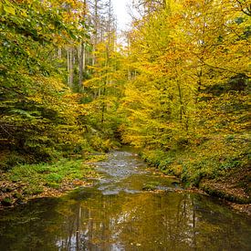 Golden autumn in the Kirnitzschtal/Saxon Switzerland by Holger Spieker