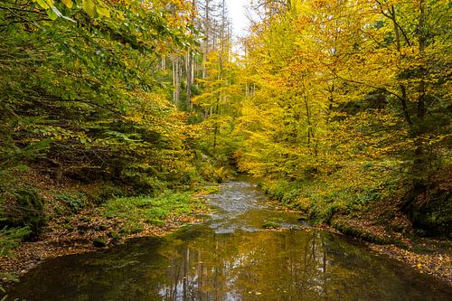 Gouden herfst in het Kirnitzschtal/Saksisch Zwitserland
