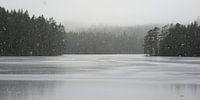 Sneeuw in zwart wit van Marloes van Pareren thumbnail
