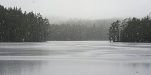 La neige en noir et blanc