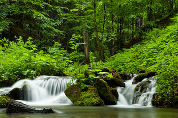 Waterval in Retezat nationaal park in Roemenië