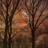 Mond unter den Bäumen 3. Impressionismus