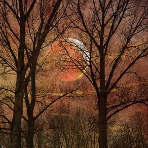 Maan tussen de Bomen 3. Impressionisme in Roestbruin. van Alie Ekkelenkamp
