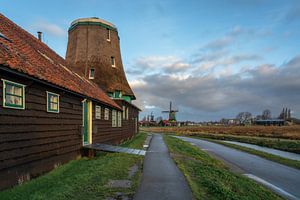 Mühle der Ochse