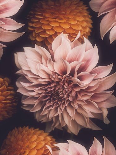 Roze en Oranje van Marina de Wit