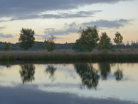 Lever du soleil au Meeuwenplas  - Dwingelderveld - Drenthe (Pays-Bas)