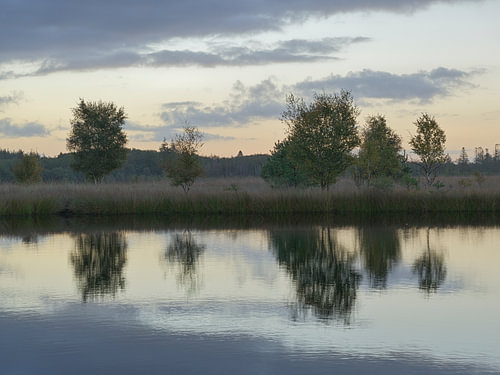 Sonnenaufgang am Meeuwenplas – Dwingelderveld – Drenthe (Niederlande)
