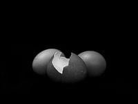 Œufs en noir et blanc