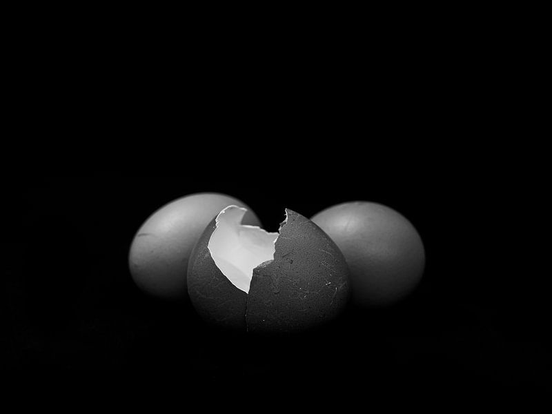 Eggs in black and white by Sharon Janssens