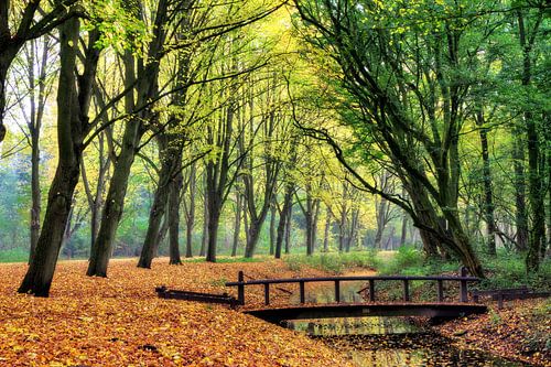 Herfst brug in het Amsterdamse bos by Dennis van de Water