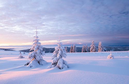 Winterbetovering in het Zwarte Woud