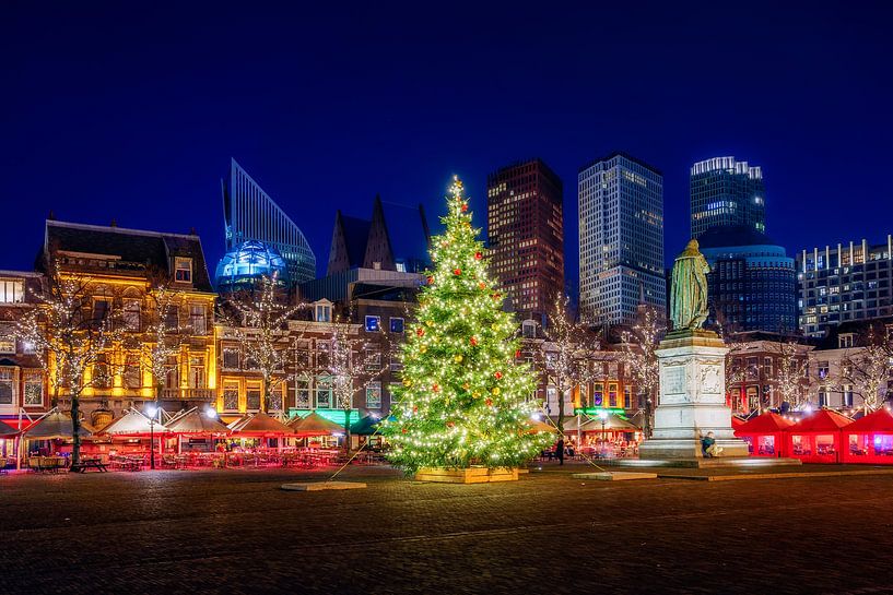 Weihnachtsbaum auf dem Platz in Den Haag von Roy Poots