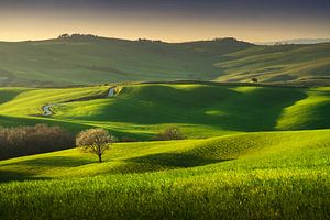 Lente in Toscane. Val d'Orcia van Stefano Orazzini