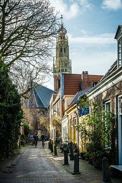 Straatje in Haarlem van nol ploegmakers