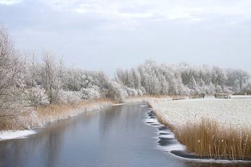 Winter by Mirjam Duizendstra