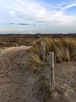 Dünen Katwijk von Pictures by Van Haestregt