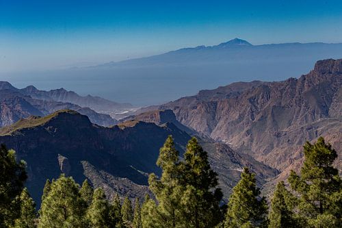 Parque rural del Nublo