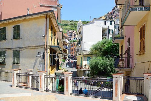 Zonnige dag in Manarola