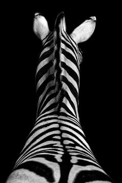 Zebra in zwart wit van peter reinders