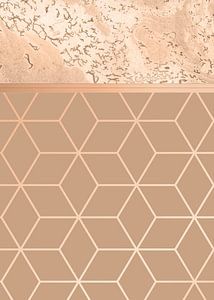 MARBLE HAZELNUT ROSEGOLD & HEXAGONAL no2