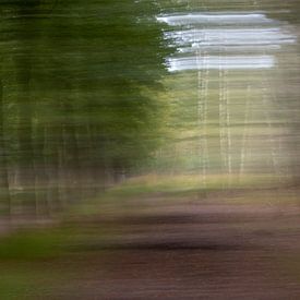 Forest in motion by Ron Westbroek