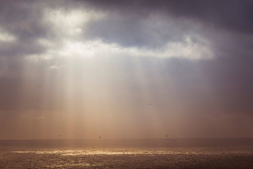 The last bit of sun.