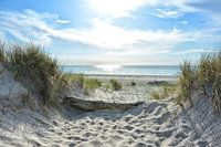 Dune whispering 2