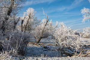 Winterlandschaft