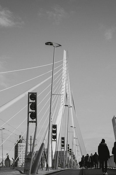 Connection by studio Arcis Photography