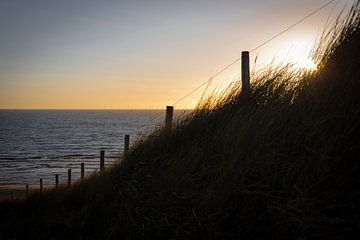 Sunset by Mike Frinking