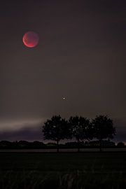 bloodmoon by Rubin Versigny
