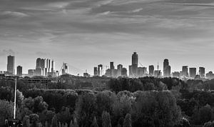 Grau Rotterdam