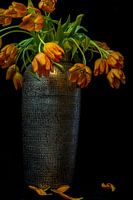 Wilted tulips