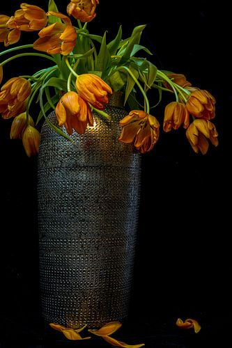 Verwelkte tulpen