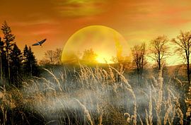 Ochtendles van Vera Laake