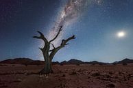 Namibia Galaxy by Peter Poppe thumbnail