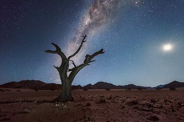 Melkweg Namibie van Peter Poppe